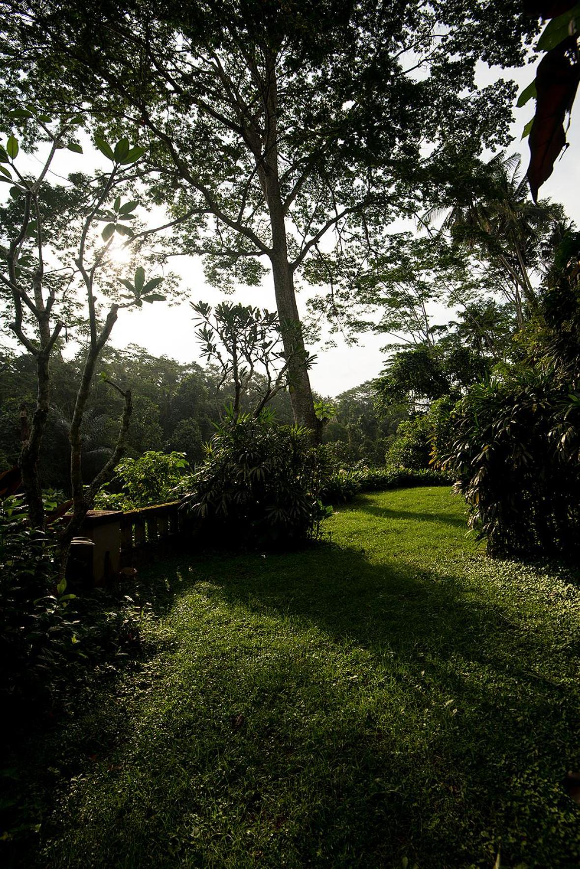 Villa Naga Putih Убуд Екстериор снимка