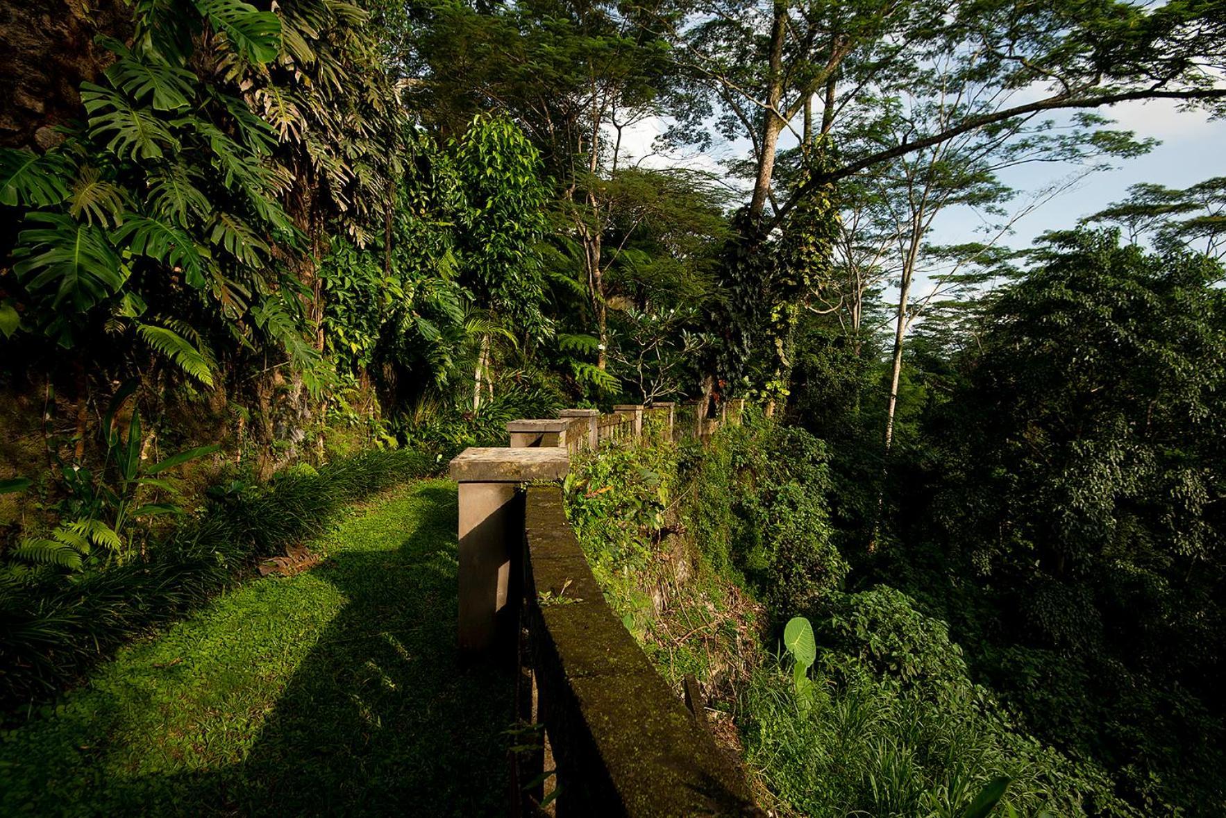 Villa Naga Putih Убуд Екстериор снимка